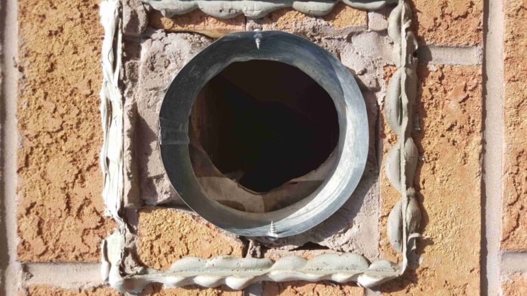 Birds nest removal services