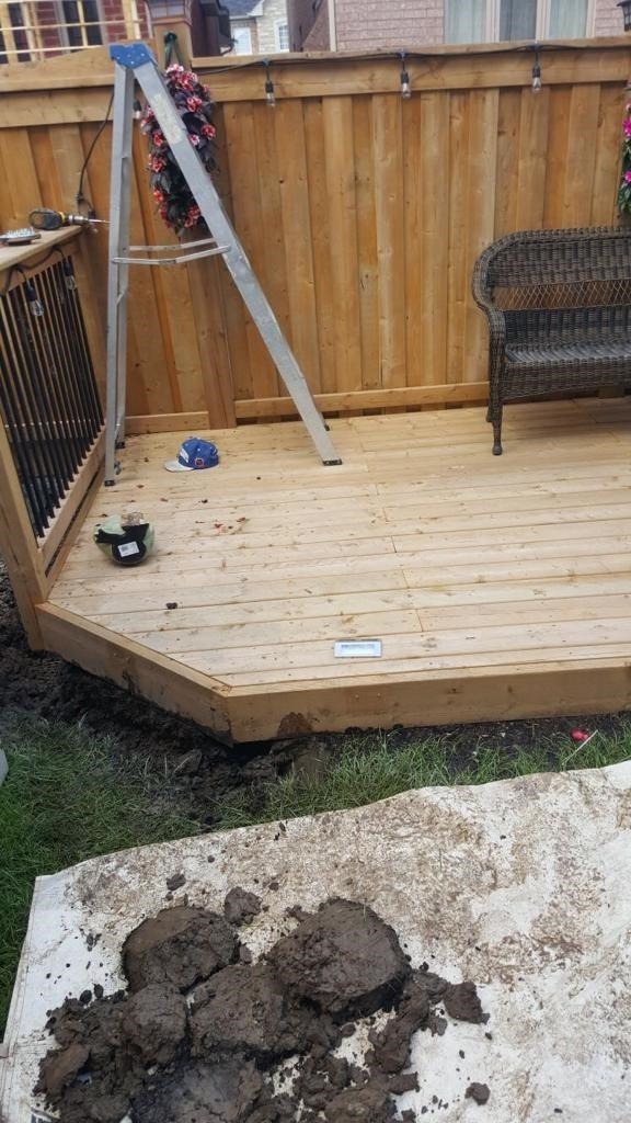 Skunk Removal Services 1 skunk removal services