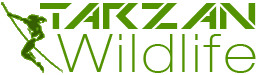 Tarzan Wildlife Inc. Logo