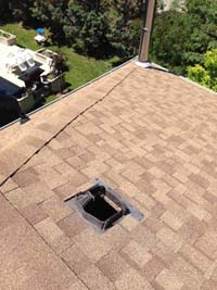 Raccoons Removal Oakville