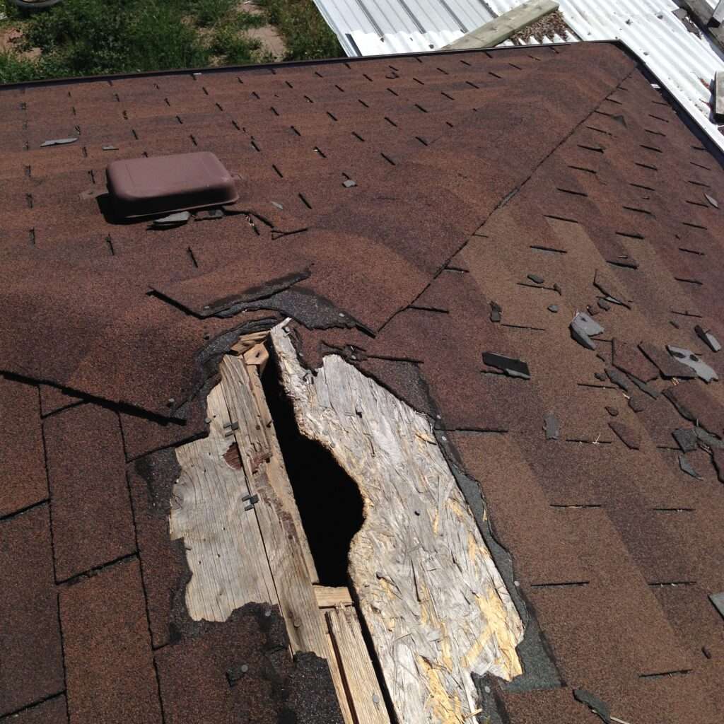 Why Keep Animals Out Of Roof?