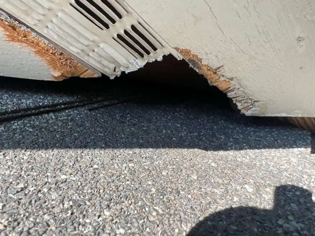 Why Keep Animals Out Of Roof?