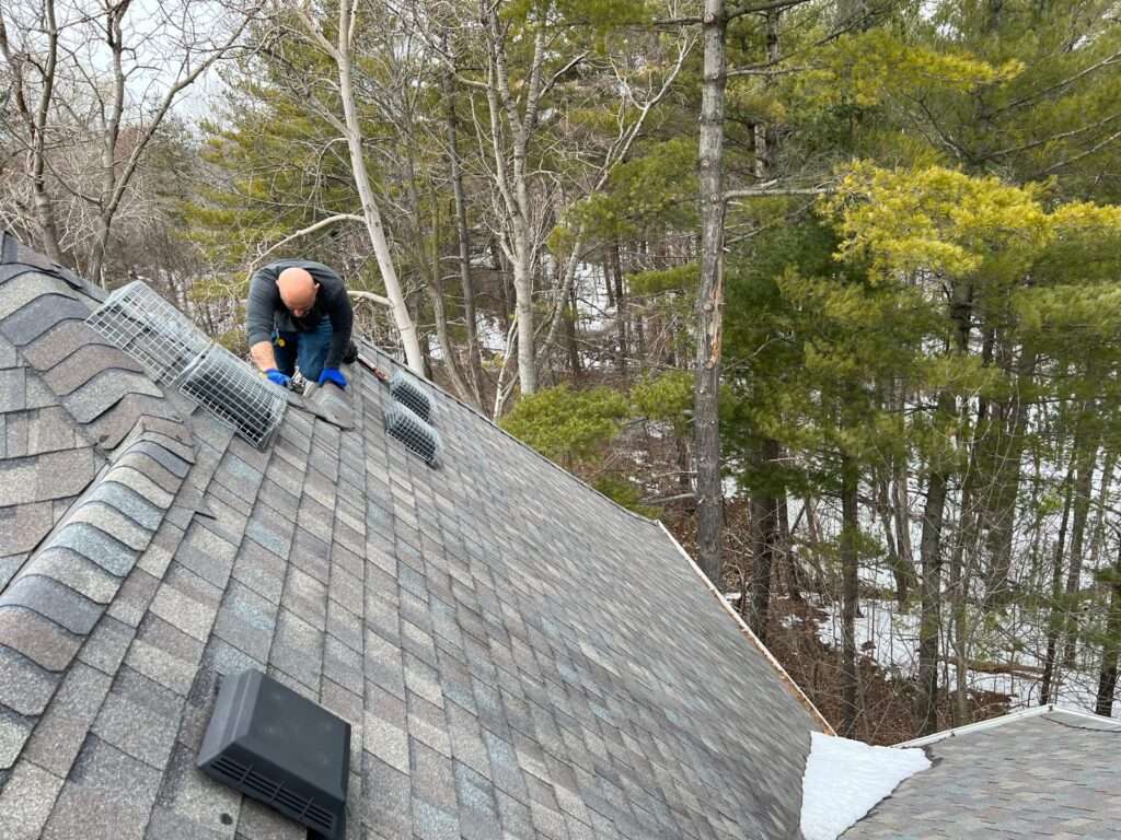 Squirrel-Removal-Brampton