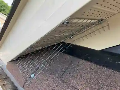 Raccoon-and-squirrel-prevention