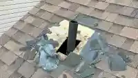 Raccoon-entering-roof-from-hole