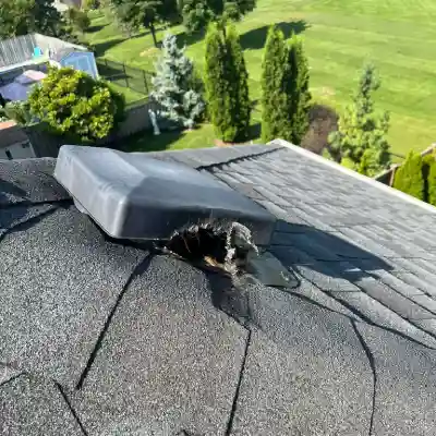 Raccoon-entering-roof-vent