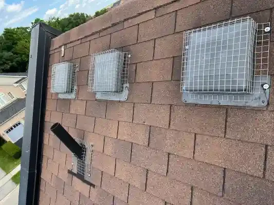 Animal-Control-Etobicoke