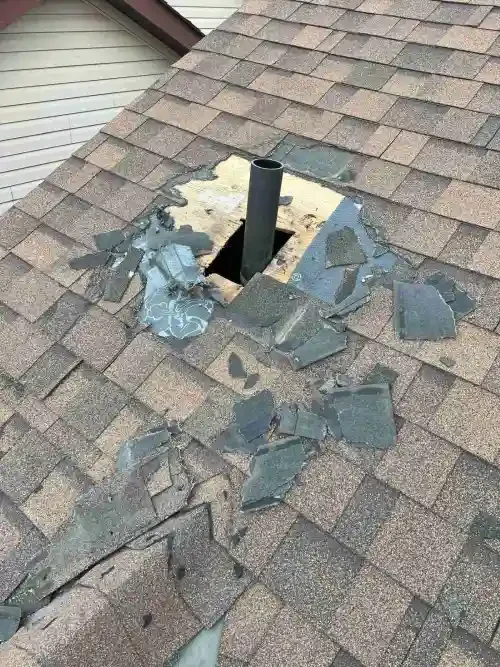 Animal-control-Etobicoke