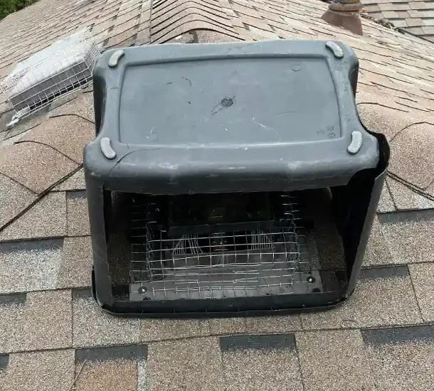 Raccoon-removal-from-vent-cover